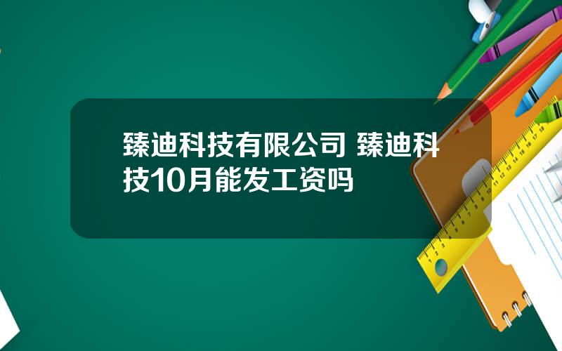 臻迪科技有限公司 臻迪科技10月能发工资吗